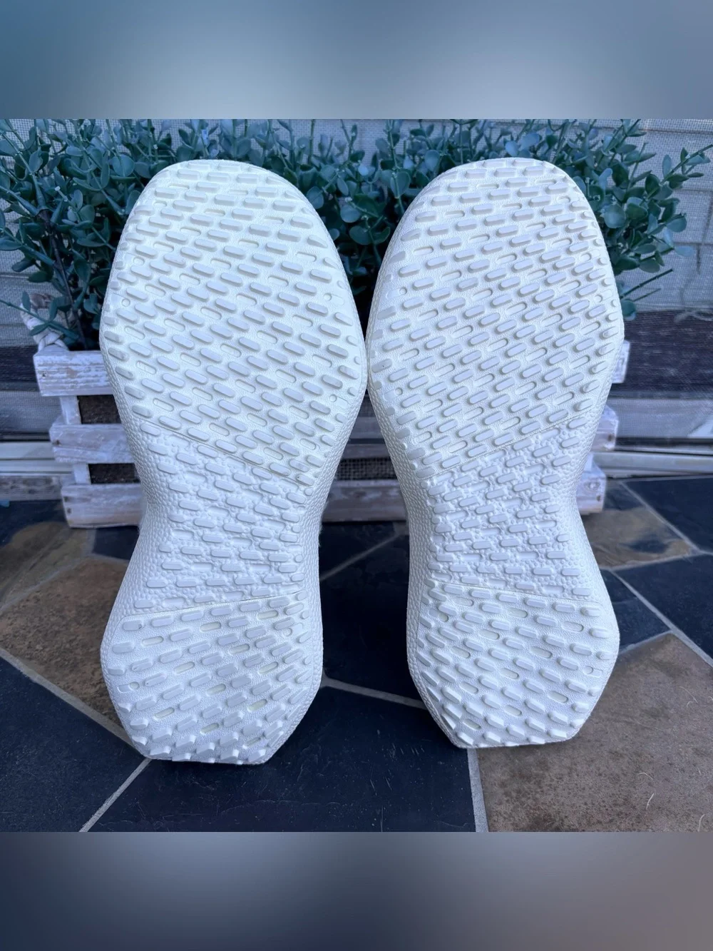 Allbirds Wool Dasher Fluff Sneakers